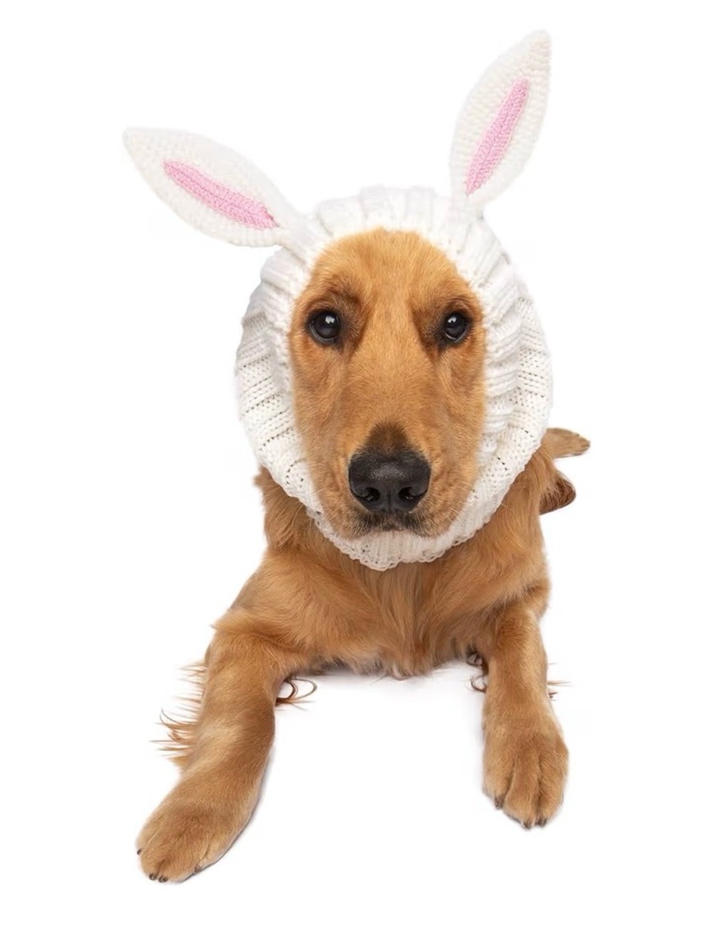 Cute White Bunny-Ear Knit Dog Hood with Pink Accents